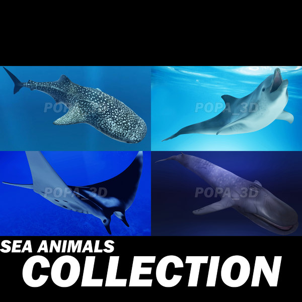 shark sea animals 3d max - Sea Animals Collection... by POPA_3D